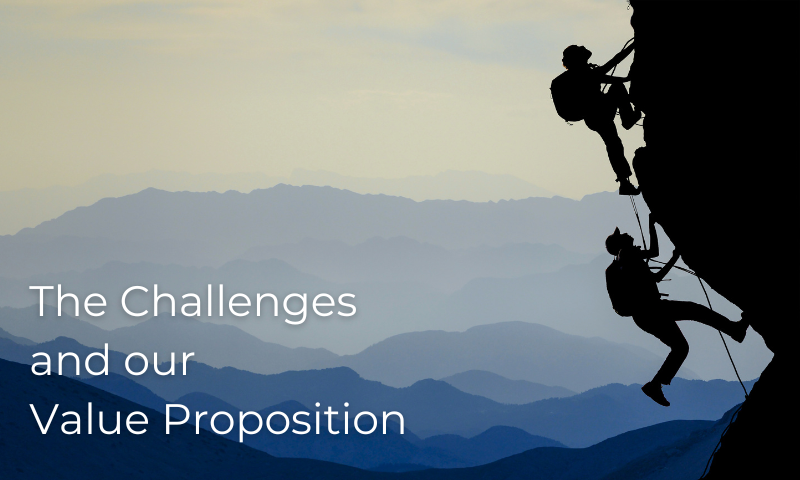 Data Challenges Visualization